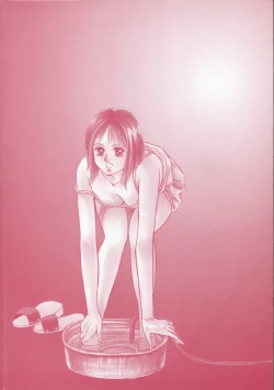 Page 4 of Mother Insert