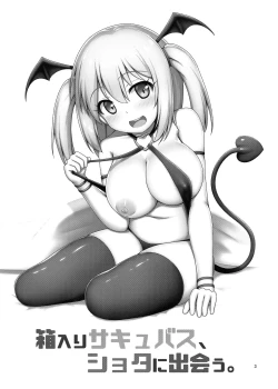 Page 3 of Hakoiri Succubus, Shota ni Deau. | Sheltered Succubus Meets Shota.