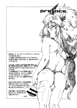 Page 4 of MANIACCESS