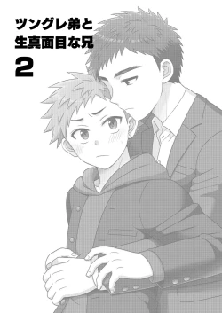 Page 3 of Tsungure Otouto to Kimajime na Ani 2