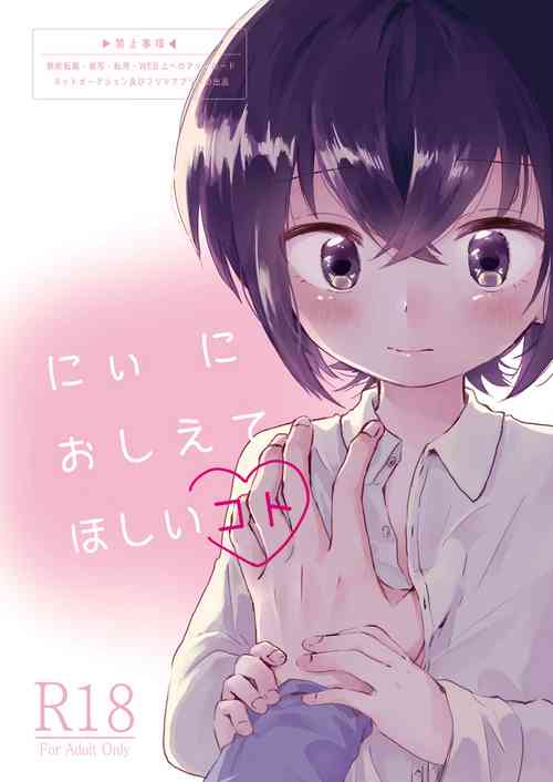 Download Nii ni Oshiete Hoshii Koto