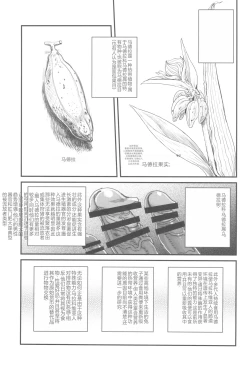 Page 11 of Dankon no Ethnography| 格拉・阿玛拉科维亚的性与排泄-男根的欲望