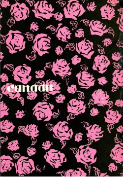 Page 4 of Canaan |迦南宝地