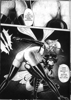 Page 5 of Bondage Fairies 2