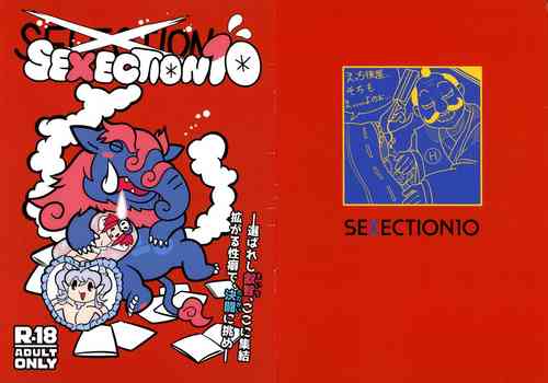 Download SEXECTION10