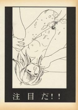 Page 14 of K1-Shell 95