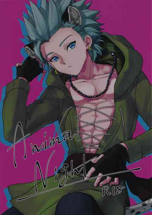 Download ANIMAL NIGHT