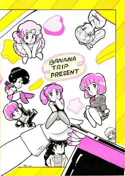 Page 29 of B-WAVE III