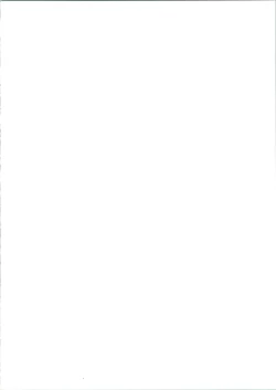 Page 2 of FIRE!! CRACKER EX