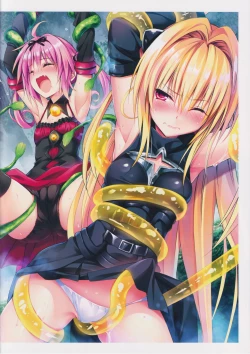 Page 31 of Highlight