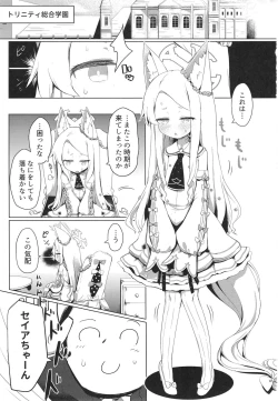 Page 3 of Hatsujou Seia de sumanai