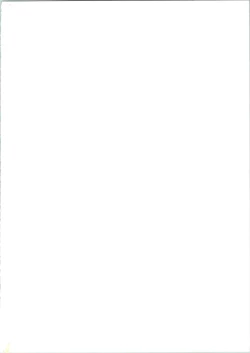 Page 2 of PROMINENT 4