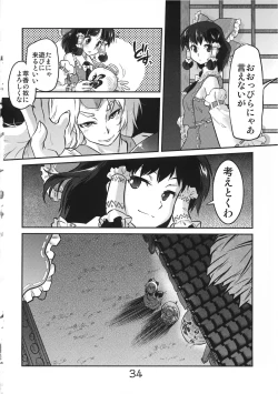 Page 34 of Byoujo no Sho