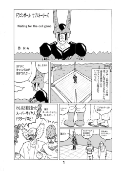 Page 19 of SSR6