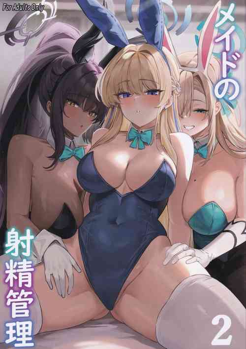 Download Maid no Shasei Kanri 2