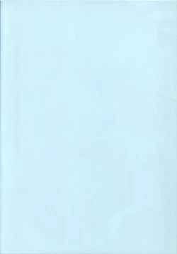 Page 2 of Nonomi Massakari