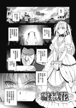 Page 187 of HimeFallen Princesses | 蹂躪公主