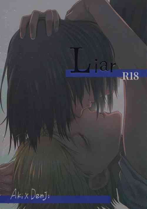 Download Liar
