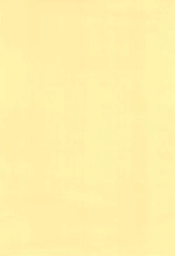 Page 2 of (Reitaisai) [SimpleClass (Shinozuki Kou)] -neko_gyakutai- (Touhou Project)