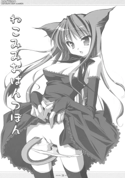 Page 18 of CopyIllu 2004