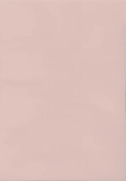 Page 4 of Boku no Kanojo wa Yakyuubu Manager ver. 2.0