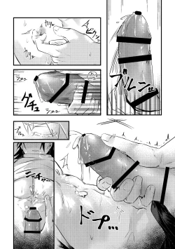 Page 18 of Shinyuu to Sukebe Shitai