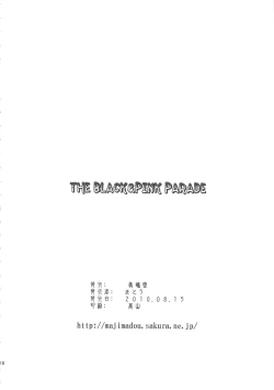 Page 17 of THE BLACK & PINK PARADE A-SIDE