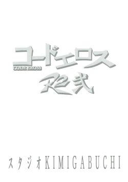 Page 22 of CODE EROSS R2 Ni