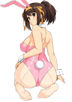 Page 511 of Muchimiya Haruhi no Konwaku + 2023 Haruhi Shien Site CG-shuu Soushuuhen