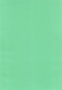 Page 44 of "Naisho" tte koto.