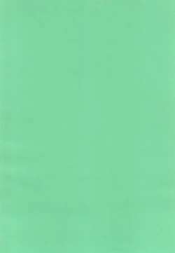 Page 4 of "Naisho" tte koto.