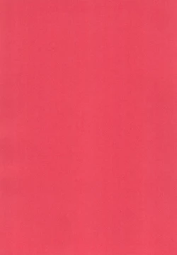 Page 30 of Erika no Oshinobi!