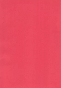 Page 4 of Erika no Oshinobi!