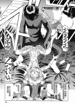 Page 19 of Houkai no Doukoku