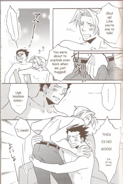 Page 13 of Ace Attorney DJ - Self Happiness