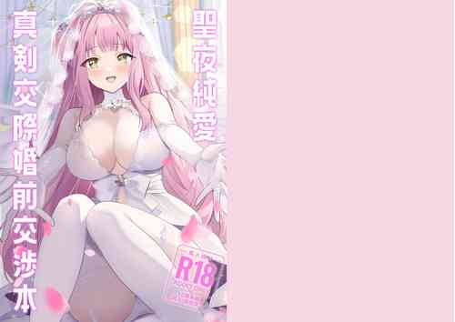 Download Seiya Junai Shinken Kousai Konzen Koushou Hon