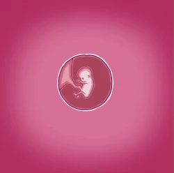 Page 3 of Yumi's Study Abroad