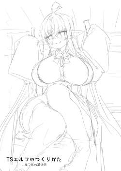 Page 2 of TS Elf no Tsukurikata