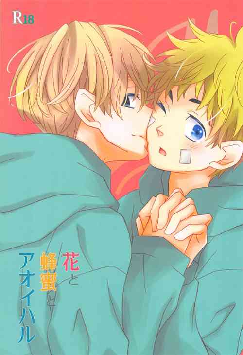 Download Hana to Hachimitsu to Aoiharu