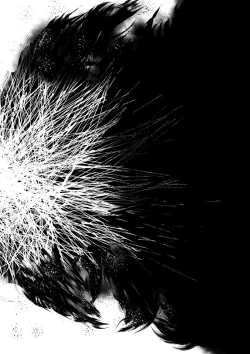 Page 50 of BLACK&ROSE ZERO ‐Shuu‐