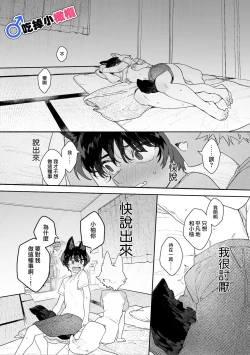 Page 42 of ♂ ga uke. Koyōtekun｜♂吃掉甲斐犬。小郊狼X甲斐犬同学