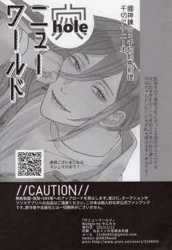 Page 2 of Ana New World