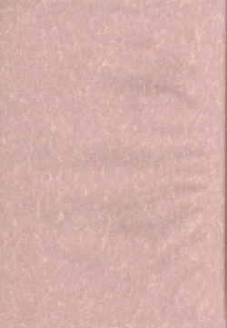 Page 2 of Momoiro Megane Calamity