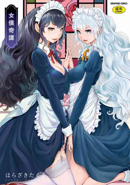 Download Maid Kitan - Maid Misteryous Story