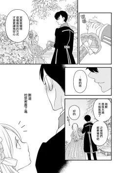 Page 26 of [Jonouchi nene / Tsukishiro usagi kotei heika to himeya ka na torikago ~ nidzuma ga kawai sugite genkai toppa shimashita!!~ | 皇帝陛下和秘密的鸟笼~新婚妻子过于可爱所以突破了界限！！～ [Chinese] [莉赛特汉化组]