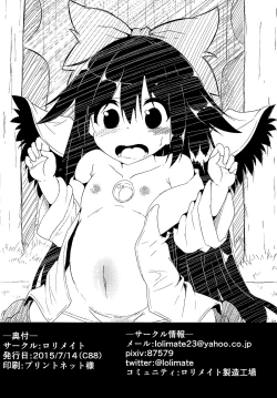 Page 12 of Okuu-chan ga Youji Taikou shichatta Hon