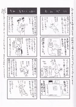 Page 16 of Der ABUGRUND No. 1