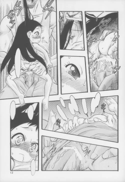 Page 13 of (C70) [P.A. Project (Teruki Kuma) Nushi no Sumu Yama Dainikan [Textless]