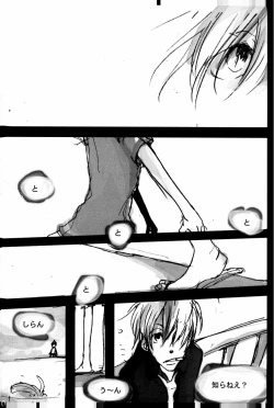 Page 39 of TONIGHT WE FLY