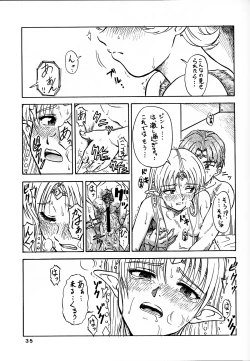 Page 35 of Tsuihou Kakugo Ver 7.0 - Seikai Tokushuu 3